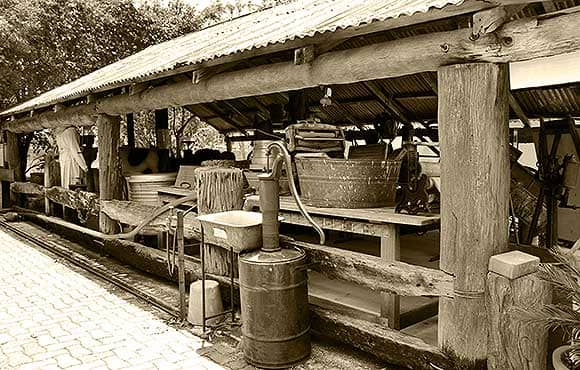 Dairy Shed